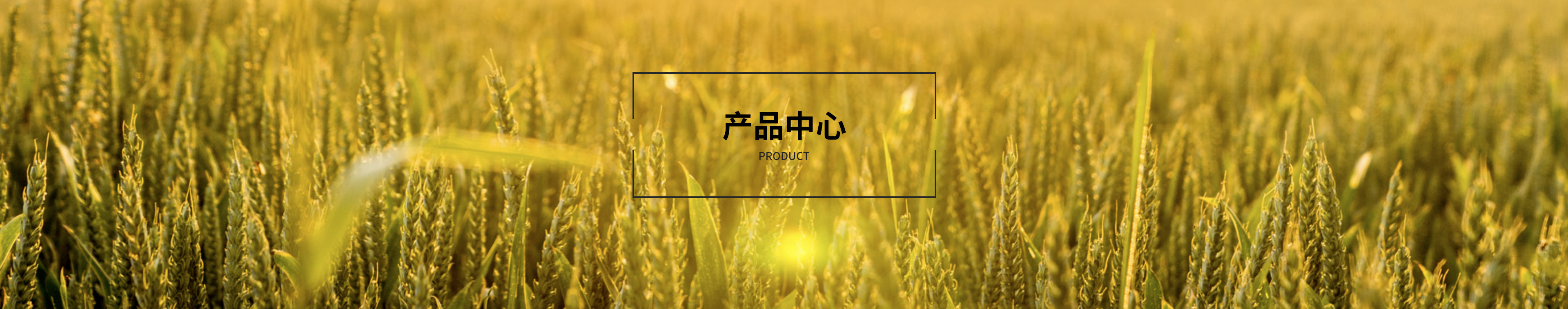 產品中心