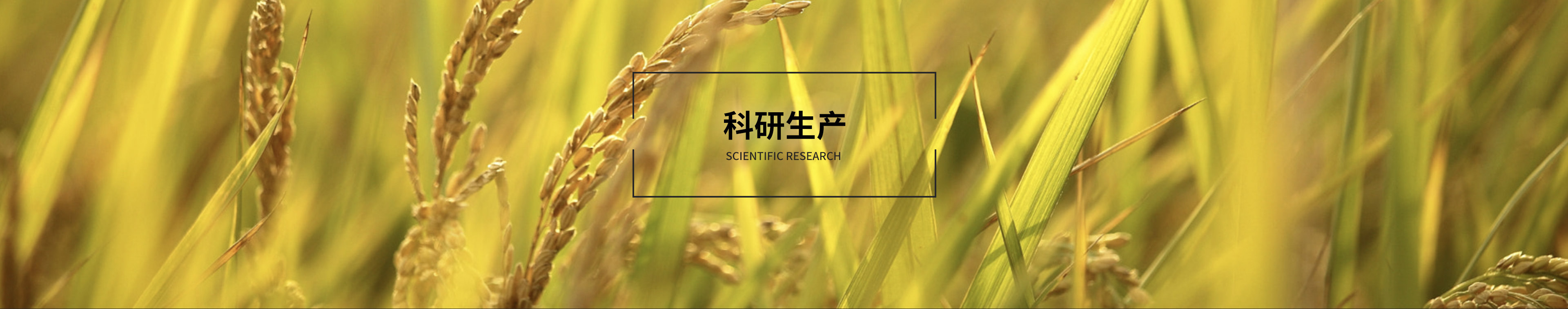 科研生產