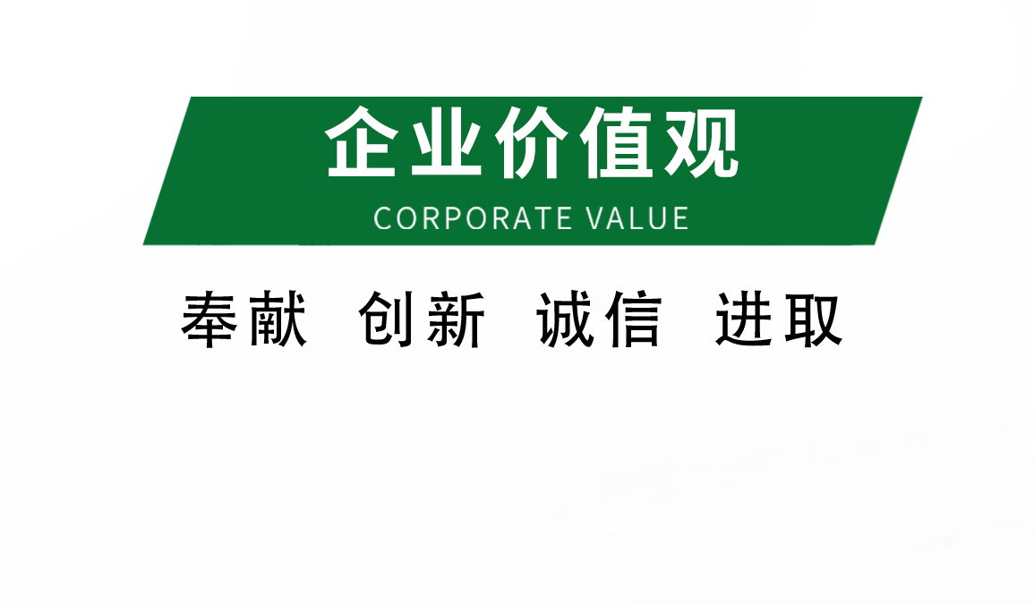 企業價值觀