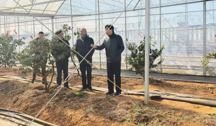 董事長前往種科院指導農作物和建筑工地防寒工作